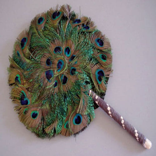 janmashtami 2017 use mor pankh or Peacock feather for money