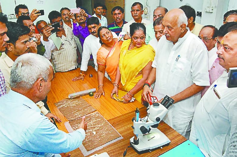 Action will be on mills: Shahi