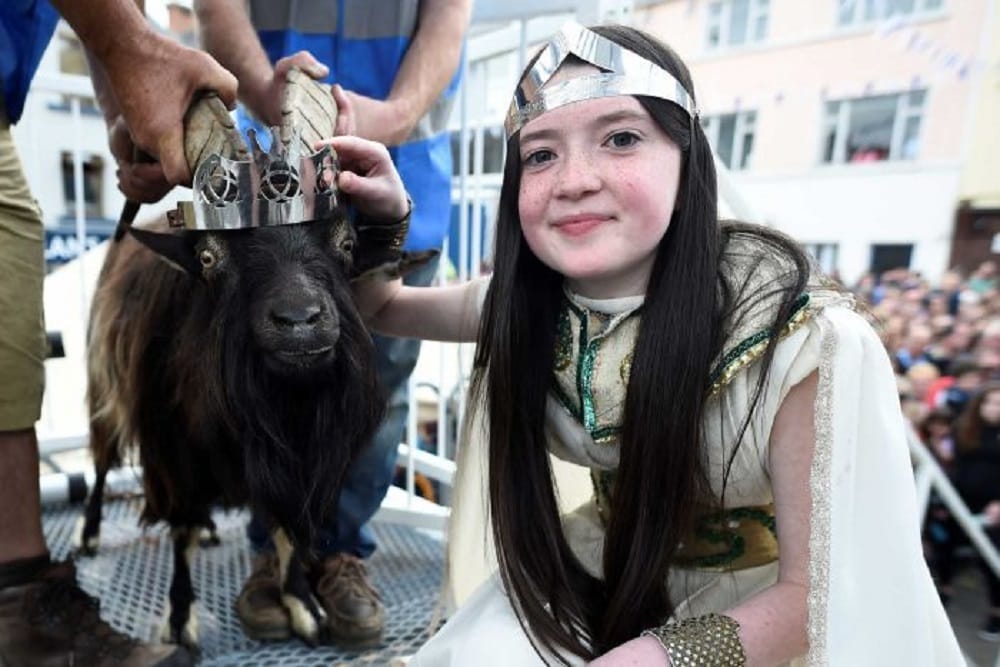 Everything you want to know about Puck Festival in Killorglin at Ireland in UK