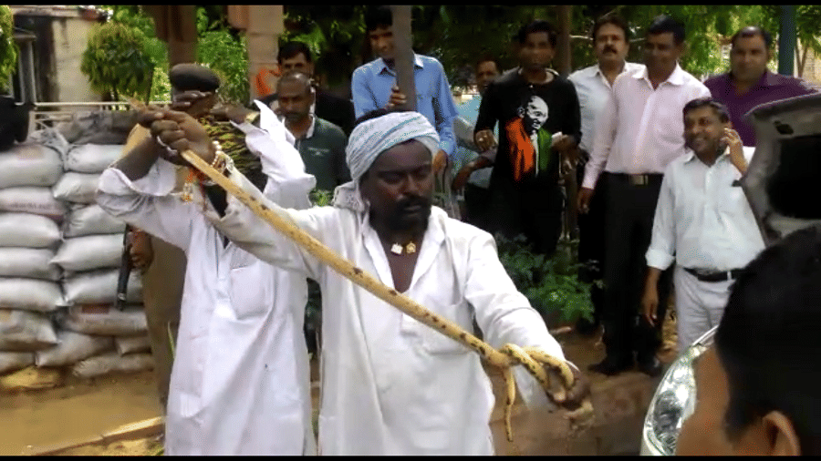 snake in jaipur highcourt
