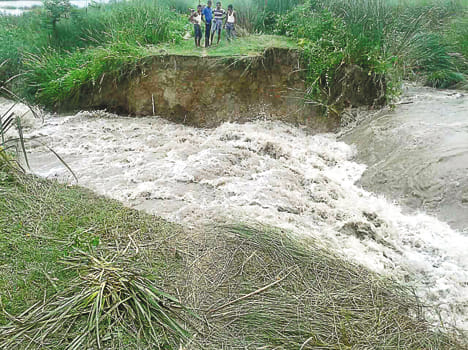 One and a half thousand bigha crop submerged from canal cutting