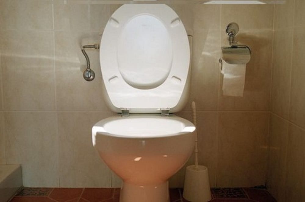 Police collected poop as DNA sample to catch thief who forgot to flush toilet In Los Angeles