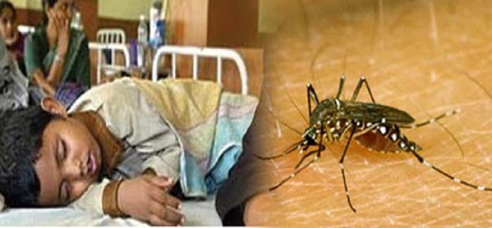16 died from encephalitis, 130 hospitlized