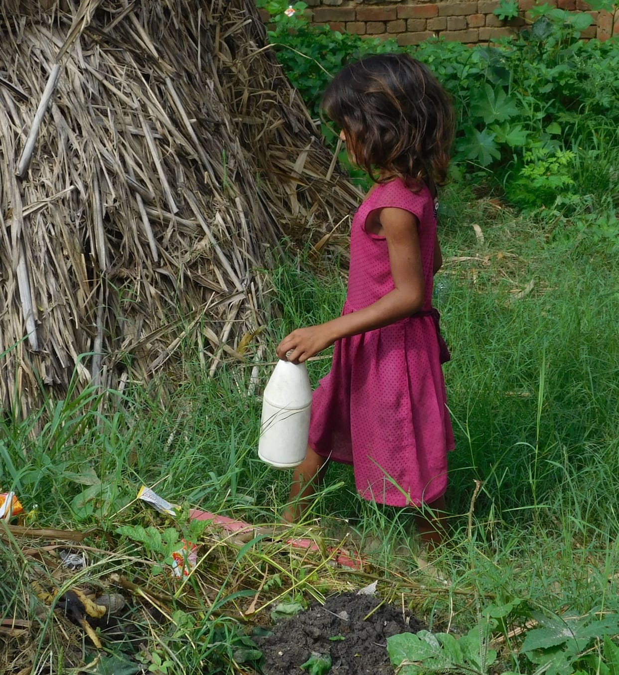 ODF built but still people using farmland for nature's call