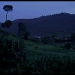 पाकिस्तानी सेना ने तोड़ा सीजफायर