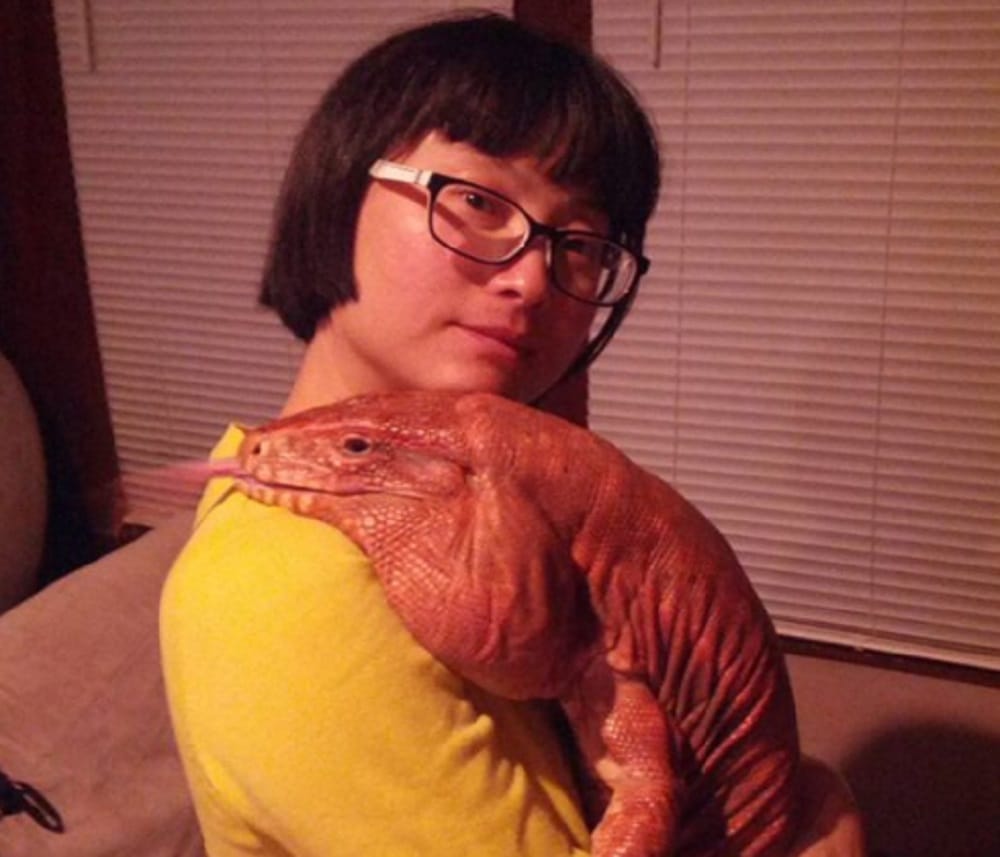 Argentinian lizard enjoys pet status in this house is new internet sensation