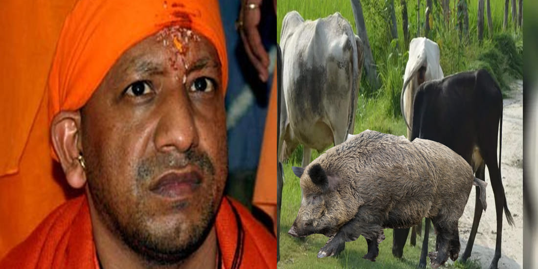 Yogi Governments promise made a deadly one and a half year old child