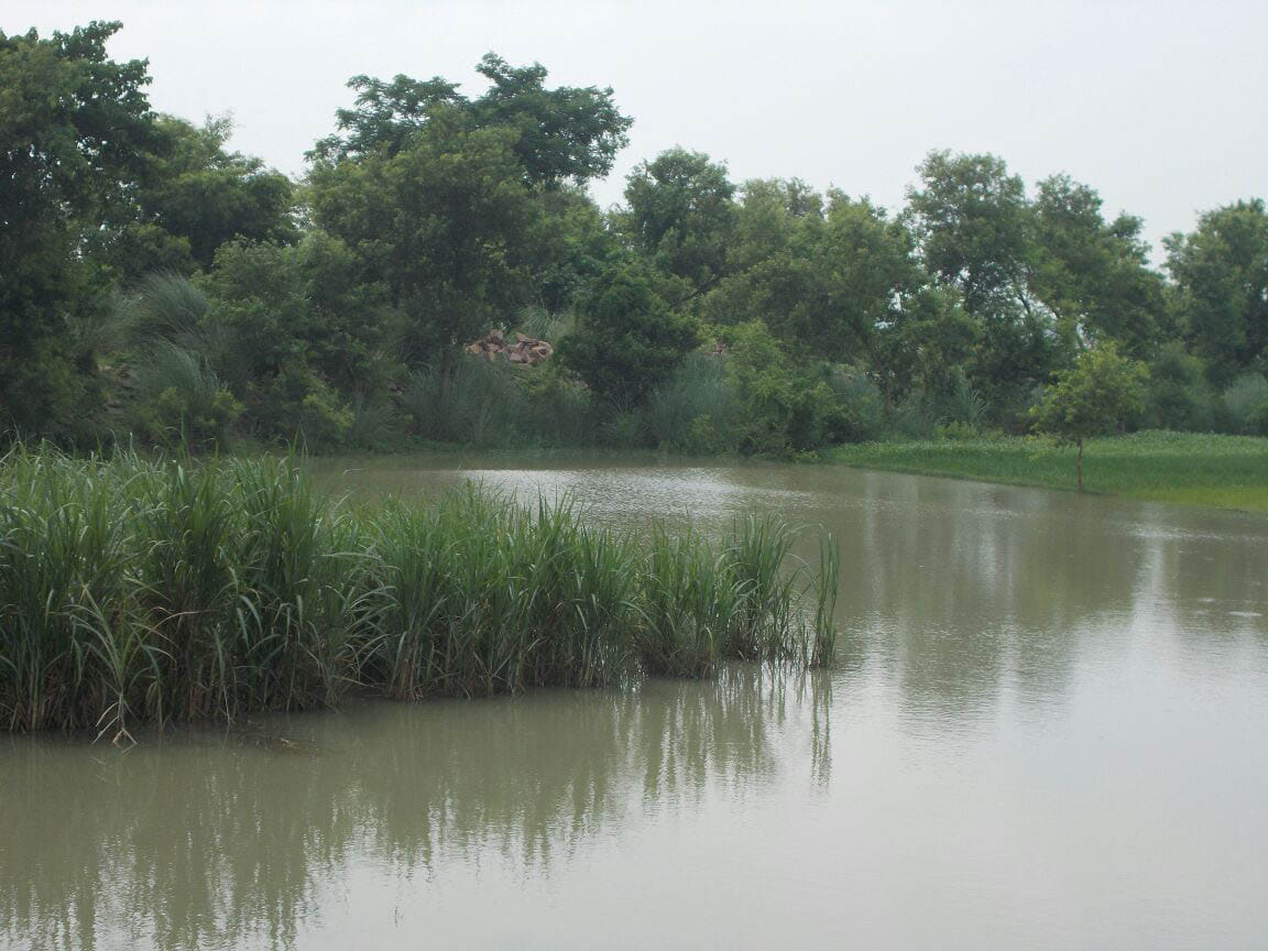 The situation is terrible at Gaurishankar Ghat from Katan