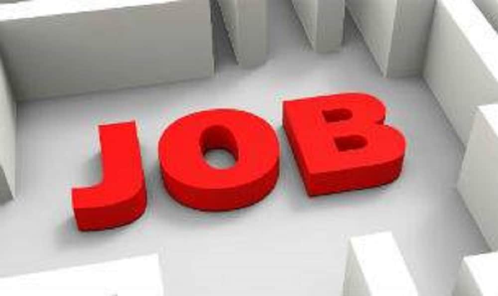 Sarkari Naukri SGPGI Lucknow Recruitment 2020 vacancy for Staff Nurse, Physiotherapist and other posts govt jobs