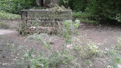 Leopard caught in barabanki