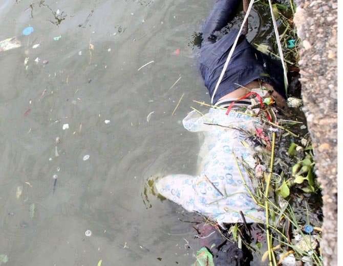 This girl death become mystery. she went to college, now the zombies in the lake