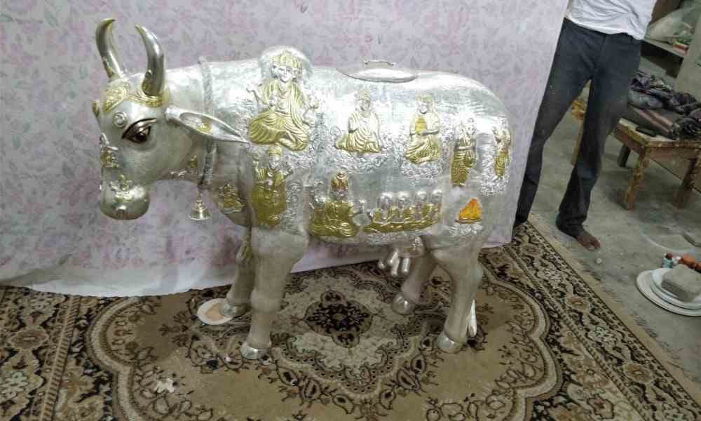 special cow from jaipur will be used for worship in mathura