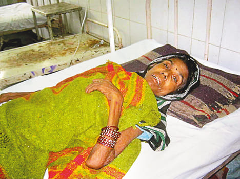 One may fear dengue, Allahabad referee