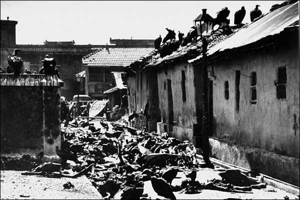 independence day 2017, indian man drives Train full of Dead Bodies from Pakistan during partition