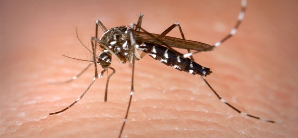 not only uttar pradesh, people of 14 more states are suffering from Encephalitis