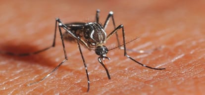 not only uttar pradesh, people of 14 more states are suffering from Encephalitis