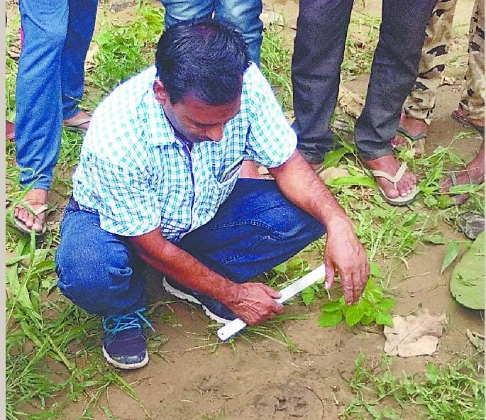 Panic of leopard in Nankmtta