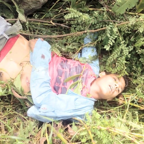 himachal kullu HRTC bus falls into gorge four died