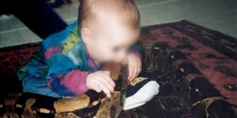 child chew snake like a toffee in firozabad UP  