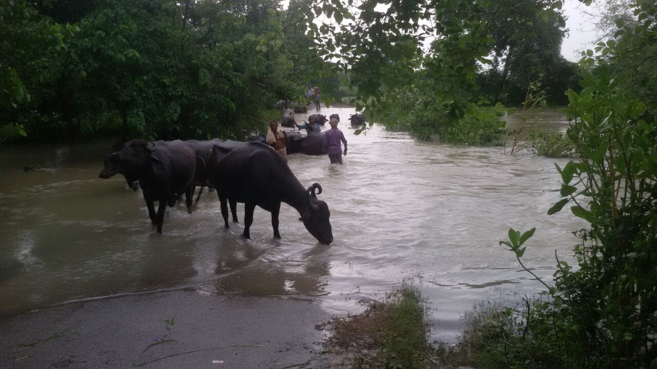 flood in ghaghra in uttar pradesh