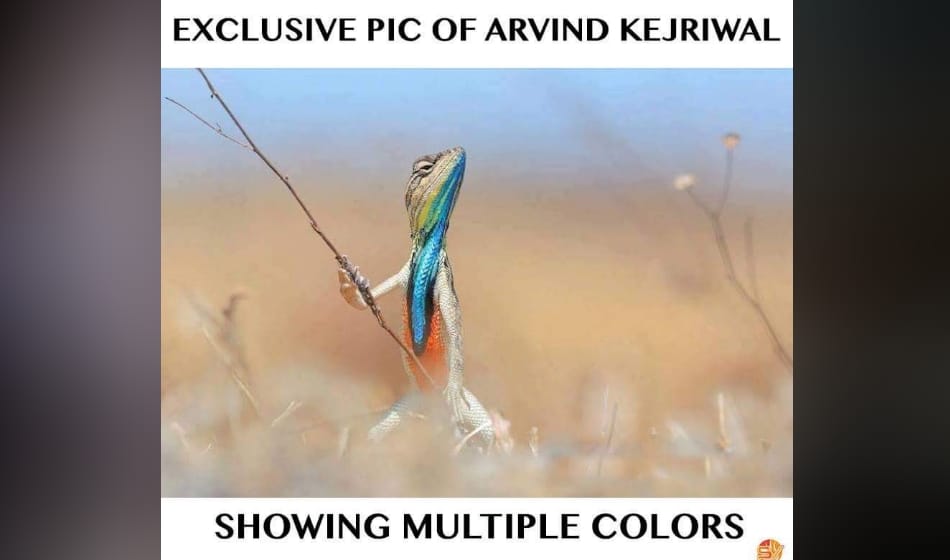 arvind kejriwal celebrating his 48th birthday today getting many hillarious wishes
