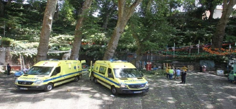 tree Dropped in Portugal during celebration 13 people killed