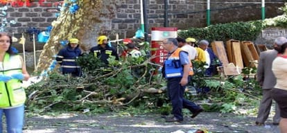 tree Dropped in Portugal during celebration 13 people killed