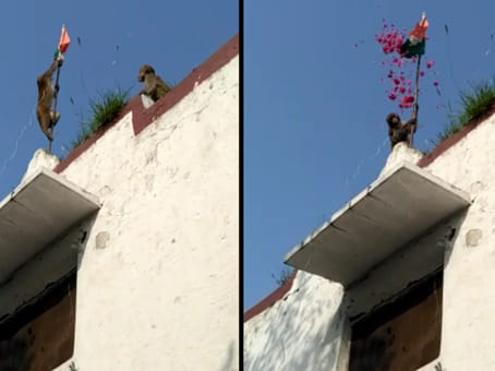 strange flag hoisting happen in two place in rajasthan