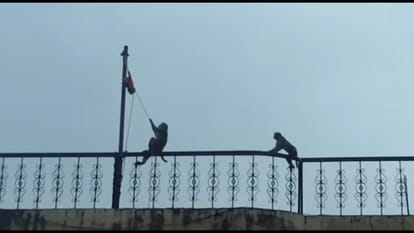 strange flag hoisting happen in two place in rajasthan