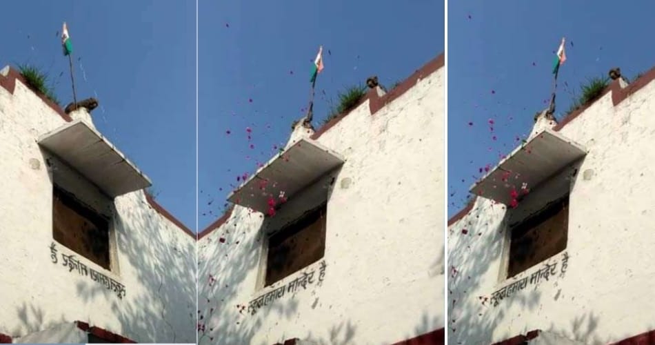 monkey hoisted flag in school, video viral on social media, independence day 2017