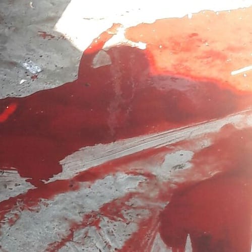 Himachal Solan Girl murdered inside the house