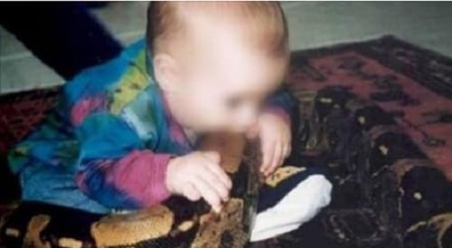 Toddler Killed Wolf Snake at Firozabad in Uttar Pradesh