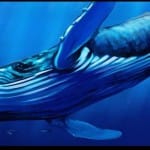 Blue Whale Challenge