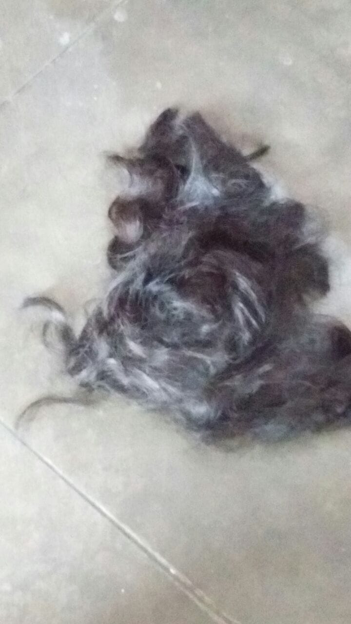 Hair Chopped Incident Happened In Chandigarh's Ramdarbar