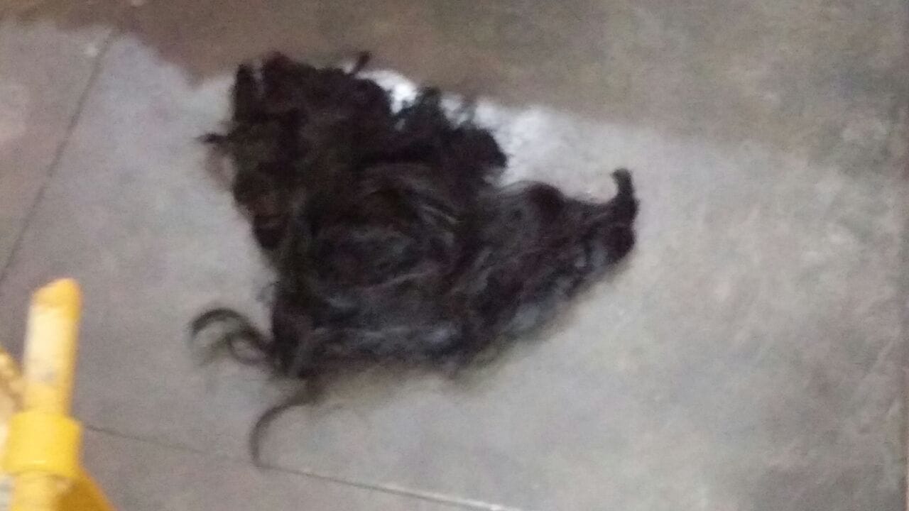 Hair Chopped Incident Happened In Chandigarh's Ramdarbar