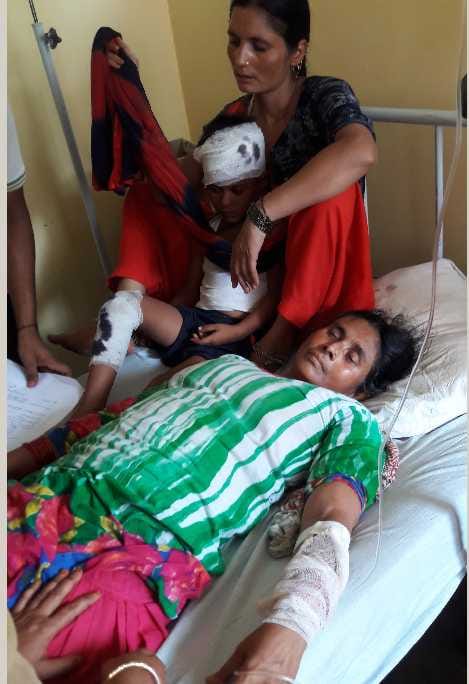 Tempo revenge, 14 injured in dog rescue