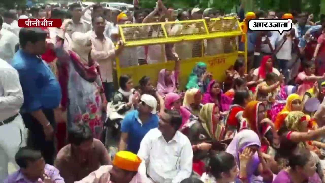 शिक्षा मित्र