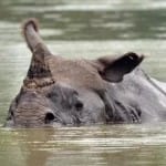 काजीरंगा पार्क