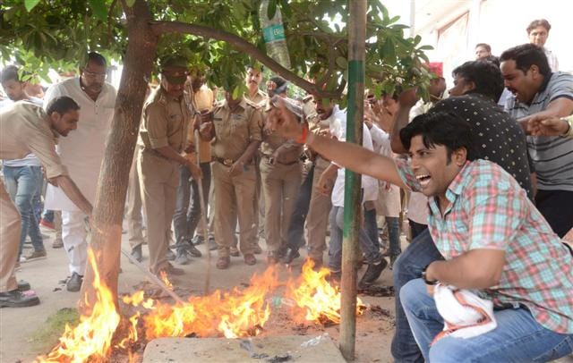 Police keep watching, sparrows fool the Yogi