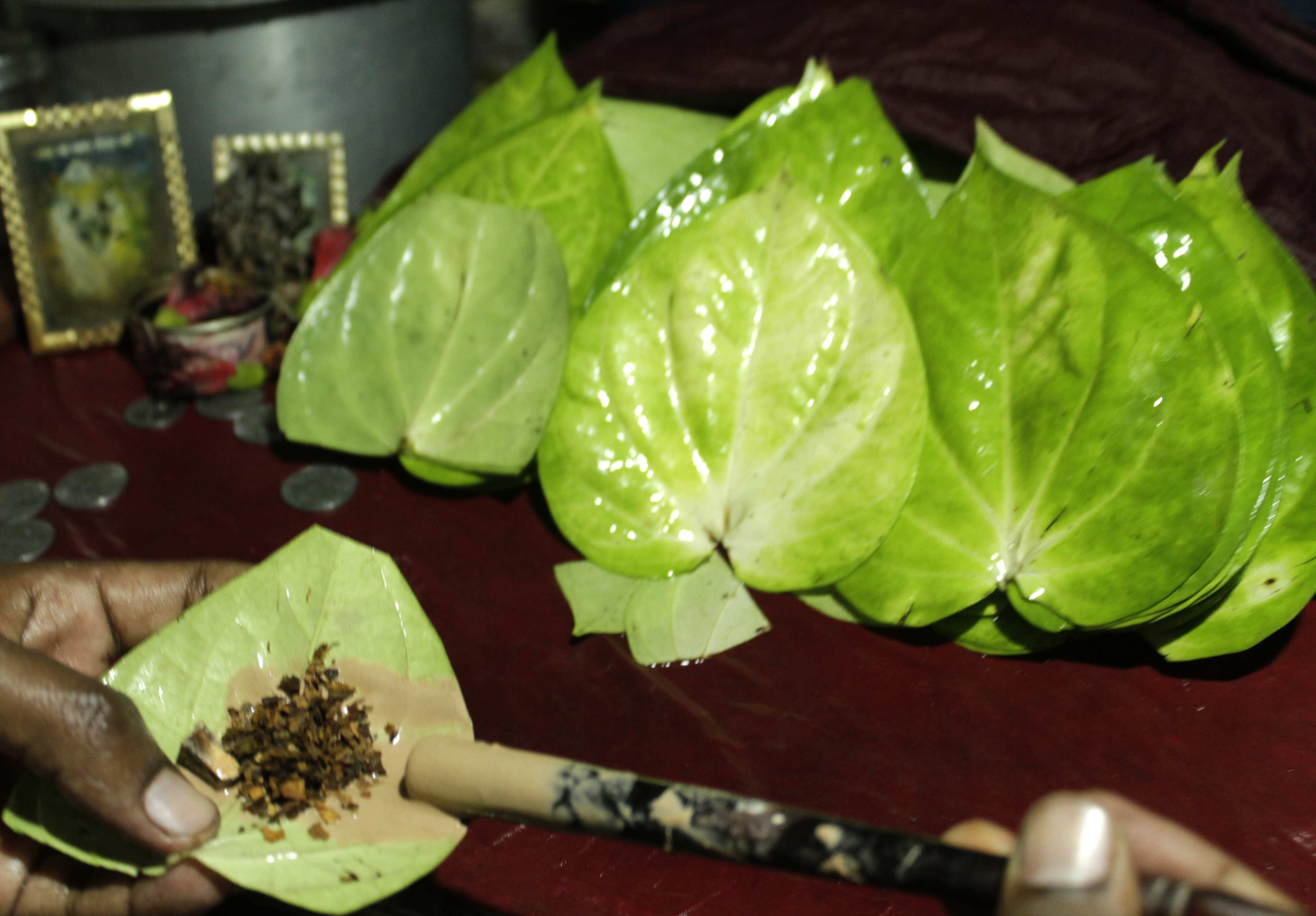 Betel leaf best remedies for good luck