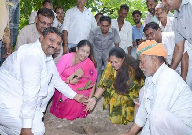 story of piplantri village in rajasthan