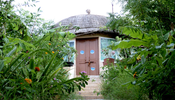 story of piplantri village in rajasthan