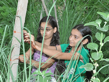story of piplantri village in rajasthan