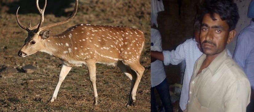 deer hunter arrested iin jaislamer