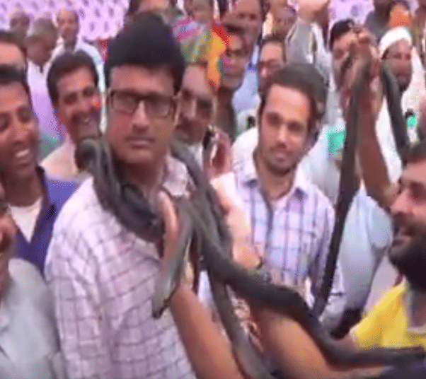 Snake trapped in minister's neck