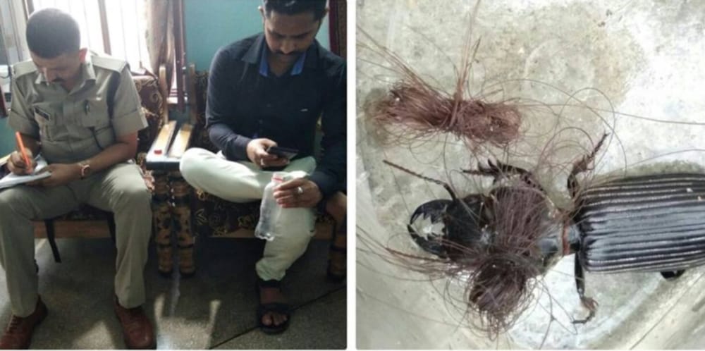 is that true this worm is cutting women choti