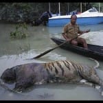 assam floods