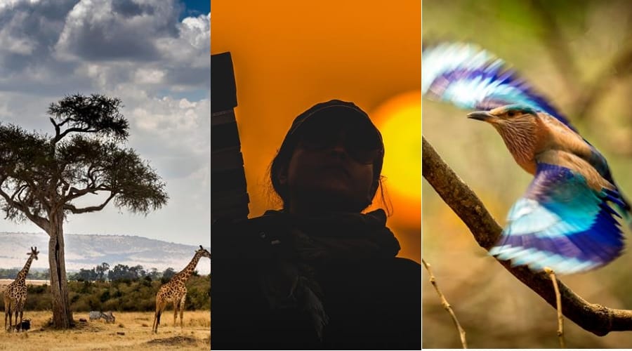 photos of abhilasha yadav wild life photographer