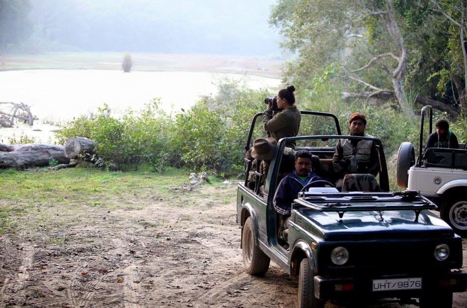 photos of abhilasha yadav wild life photographer