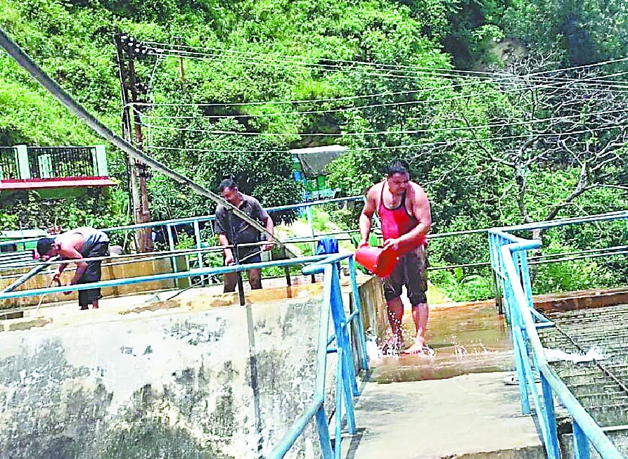 DM serious on the complaint of getting out of insects with water
